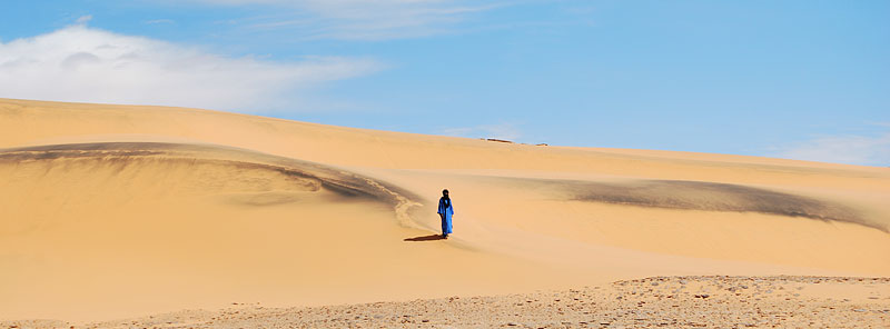 Ein Sparziergang auf den Dünen